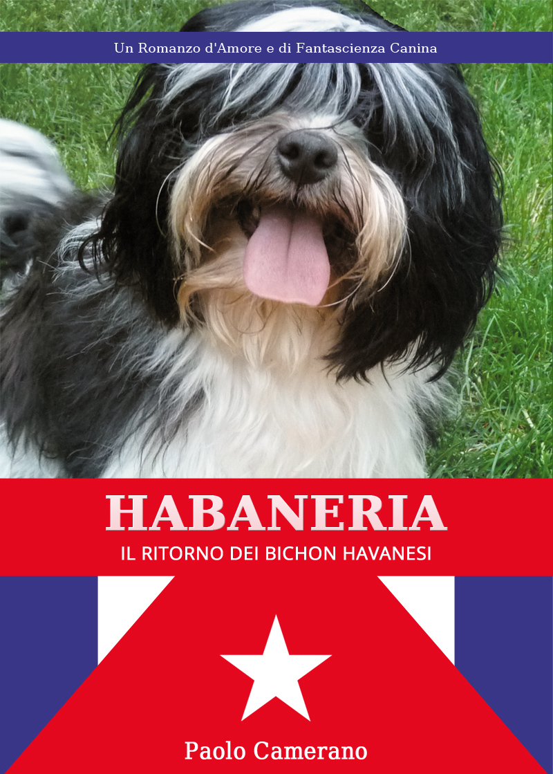 habaneria9