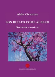 albero