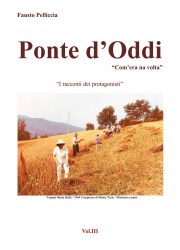 cop-ponte9