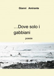 dove-solo-i-gabbiani