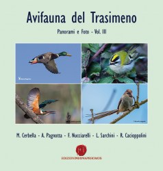 trasimeno6